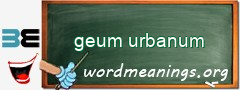 WordMeaning blackboard for geum urbanum